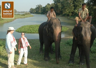 The Grand India Wildlife Adventure