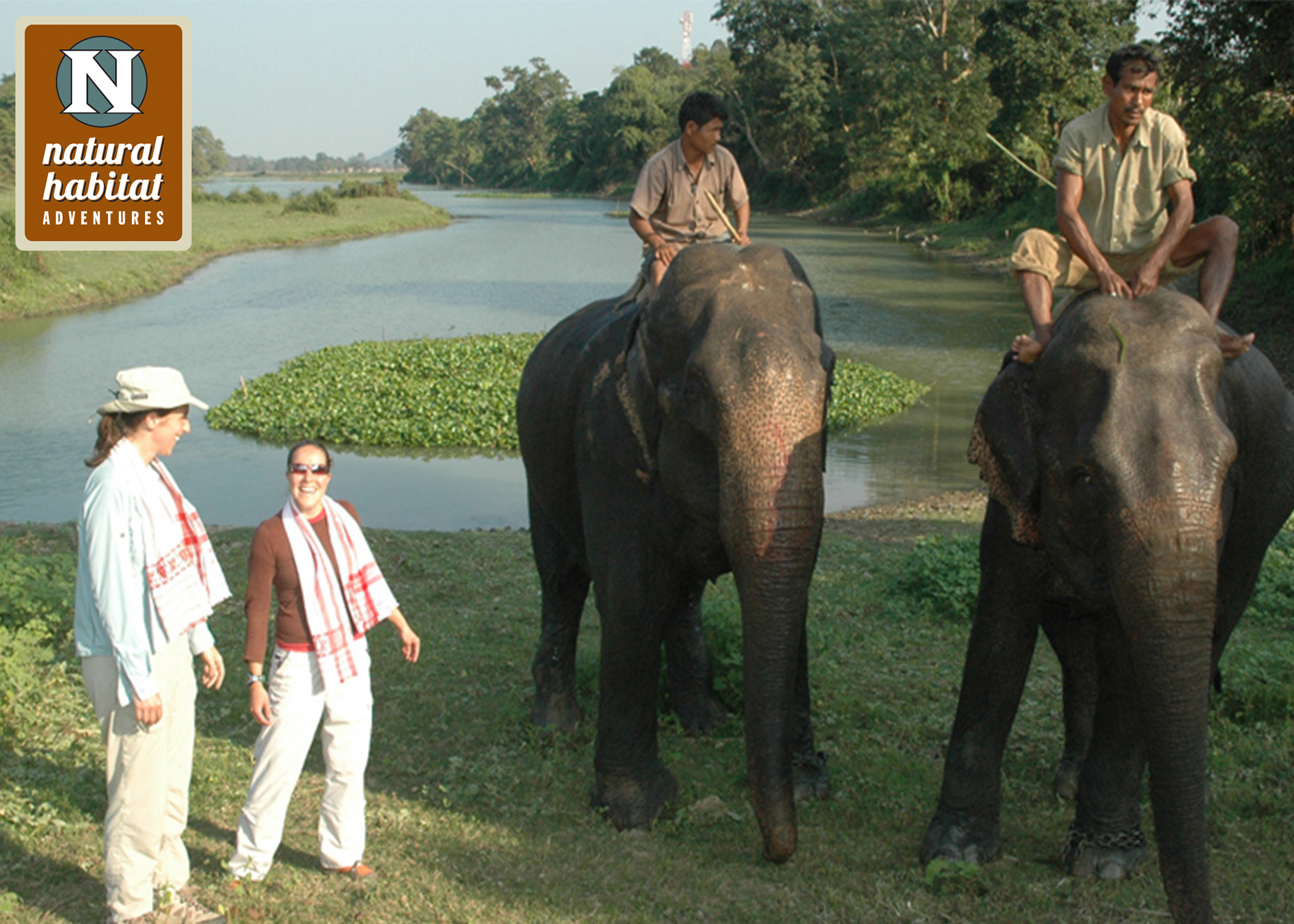 The Grand India Wildlife Adventure