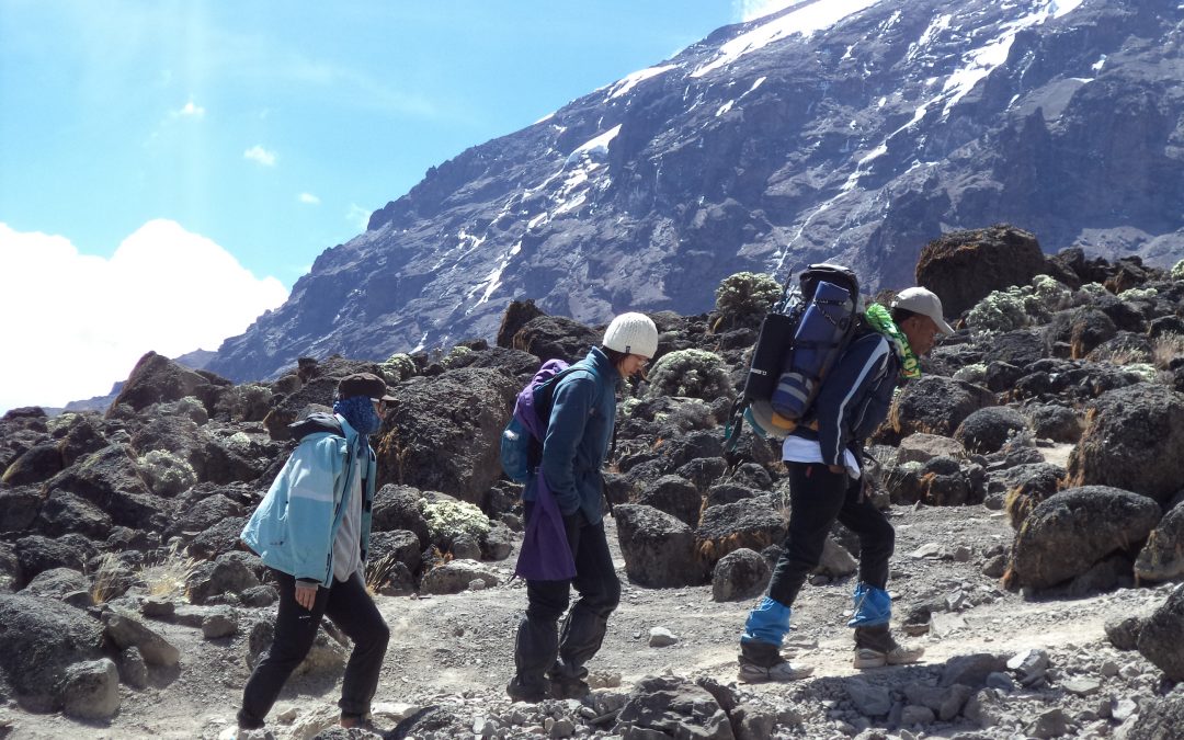 Kilimanjaro 12 Week Training Program