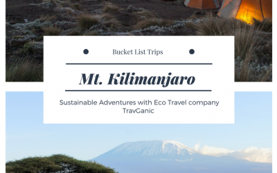 Why Mt. Kilimanjaro Should be on Your Bucket List