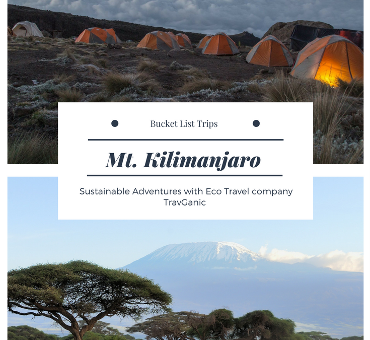 Kilimanjaro bucket lit