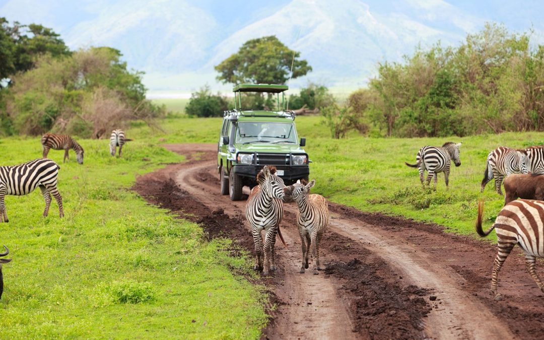 10 Day Luxury Tanzanian Safari