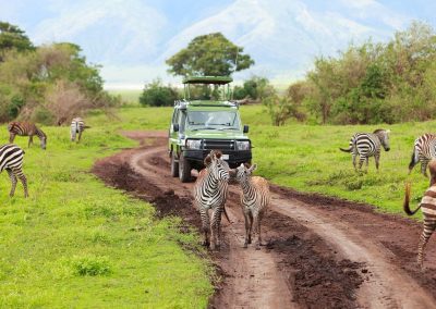 10 Day Luxury Tanzanian Safari