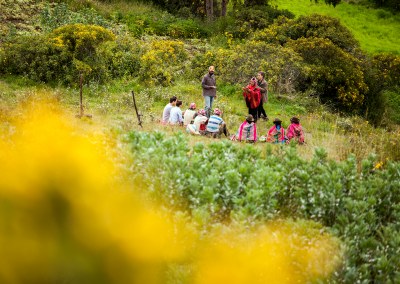 Cusco Discovery (7D/6N)
