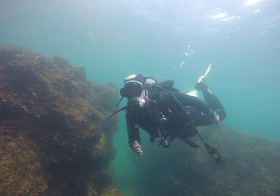 Eco-Dive in The Azores