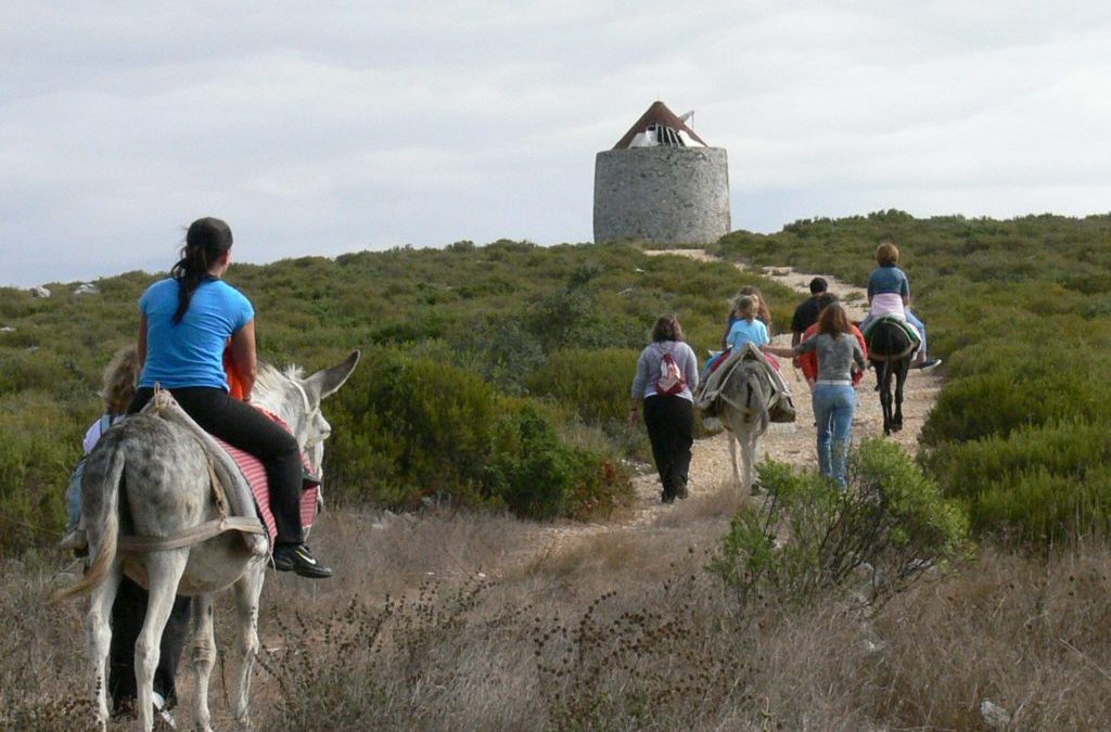 Country Life in Chãos