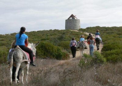 Country Life in Chãos