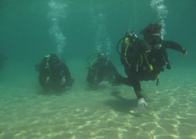 Eco-Dive in Sesimbra