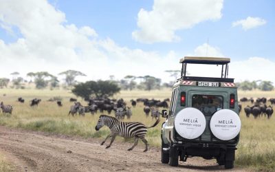 Melia Serengeti Lodge
